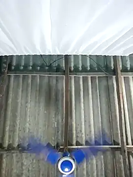 hotbaby 5 online show from 11/01/25, 12:34