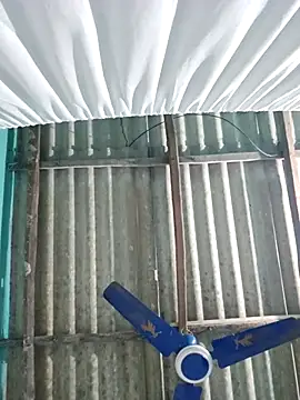 hotbaby 5 online show from 11/14/25, 05:17