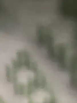 Snapshot of Estefanii- chatting on 12/16/24, 01:32 Estefanii- online show from 12/16/24, 01:32