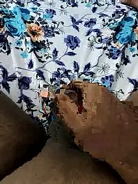 Mallu Curator online show from 11/09/25, 01:31