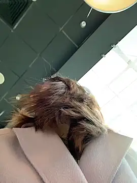 Dina Tease online show from 03/21/26, 10:31