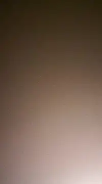 NewKing100 online show from 12/02/24, 03:37