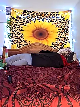 Snapshot of GoddessNikolia chatting on 02/24/26, 02:53 GoddessNikolia online show from 02/24/26, 02:53