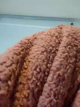 911Calling online show from 12/14/24, 04:01