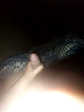 Snapshot of ch___ro69 chatting on 10/18/25, 03:31 ch   ro69 online show from 10/18/25, 03:31