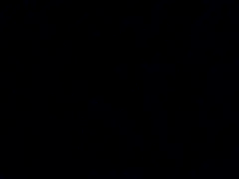 Snapshot of workhard87 chatting on 01/31/25, 05:53 workhard87 online show from 01/31/25, 05:53