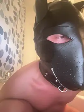 Snapshot of PlayDog123 chatting on 03/06/25, 05:22 PlayDog123 online show from 03/06/25, 05:22