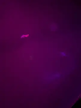 Snapshot of Alahia7demon chatting on 03/22/26, 10:18 Alahia7demon online show from 03/22/26, 10:18