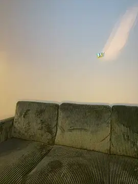 RainFallzxxz online show from 01/26/25, 10:24