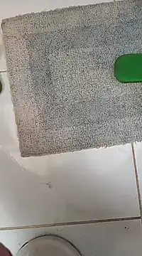 Snapshot of lobomisterioso13 chatting on 01/30/25, 12:37 lobomisterioso13 online show from 01/30/25, 12:37