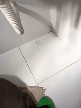 Snapshot of lobomisterioso13 chatting on 03/14/25, 12:07 lobomisterioso13 online show from 03/14/25, 12:07