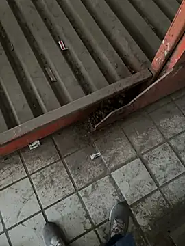 Snapshot of A-mira chatting on 03/21/25, 09:56 A-mira online show from 03/21/25, 09:56