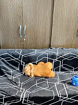 Snapshot of indian_yourshreya69 chatting on 03/15/26, 02:17 indian yourshreya69 online show from 03/15/26, 02:17