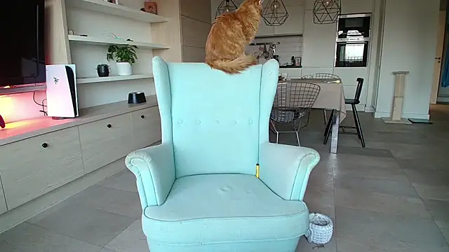 Snapshot of Kotis_Foxy chatting on 10/03/25, 02:58 Kotis Foxy online show from 10/03/25, 02:58