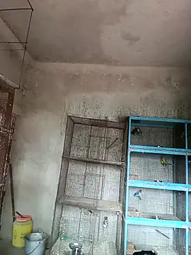 Snapshot of NICK_IN chatting on 02/18/25, 04:15 NICK IN online show from 02/18/25, 04:15