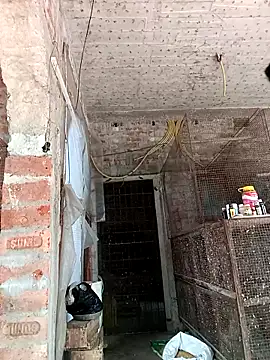 Snapshot of NICK_IN chatting on 02/24/25, 07:33 NICK IN online show from 02/24/25, 07:33