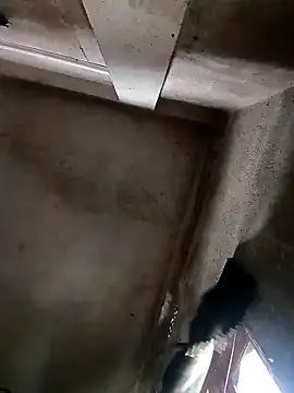 Snapshot of NICK_IN chatting on 10/30/25, 03:52 NICK IN online show from 10/30/25, 03:52