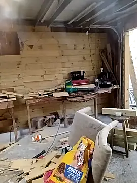 Buffshagswell online show from 11/13/25, 04:06