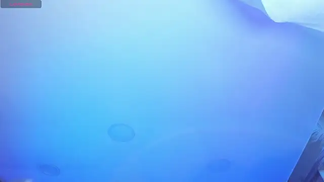 Snapshot of AHRI_LEE chatting on 12/21/24, 03:58 AHRI LEE online show from 12/21/24, 03:58