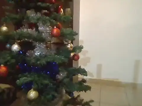 Snapshot of luana63 chatting on 12/03/24, 01:43 luana63 online show from 12/03/24, 01:43