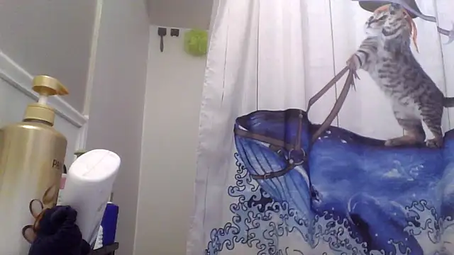 Snapshot of clitstitsandbongrips chatting on 11/25/25, 03:17 clitstitsandbongrips online show from 11/25/25, 03:17