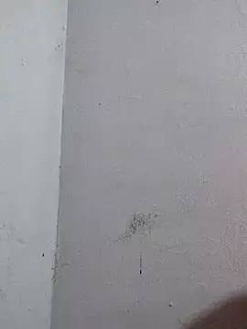 Negrocomedo online show from 03/06/26, 01:51