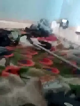 Snapshot of raiu1257 chatting on 02/21/25, 09:32 raiu1257 online show from 02/21/25, 09:32