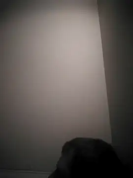 Snapshot of Vlastislav23 chatting on 03/04/26, 10:54 Vlastislav23 online show from 03/04/26, 10:54