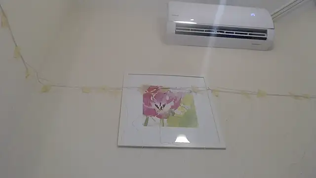 Only Mane online show from 01/14/25, 02:53