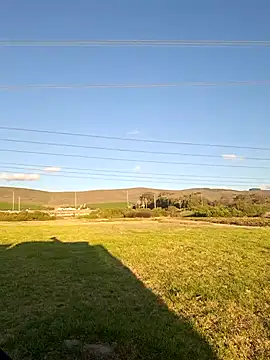 Snapshot of MIGHTY_MAGNUM chatting on 02/08/25, 05:08 MIGHTY MAGNUM online show from 02/08/25, 05:08