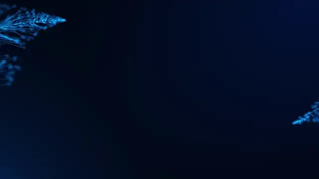 Hr Frk Olsen online show from 02/15/25, 04:56