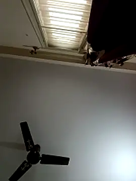 blr boi online show from 12/03/25, 06:54