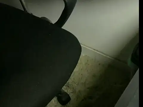 Snapshot of cabine103 chatting on 04/06/26, 04:46 cabine103 online show from 04/06/26, 04:46