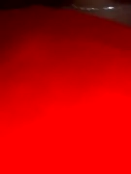 sara pineros online show from 12/28/24, 12:04