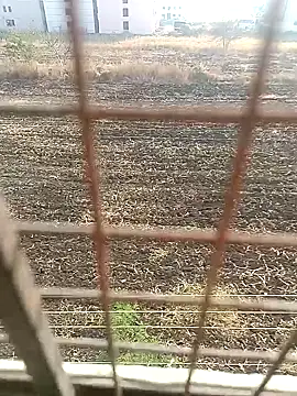 1010SumiT online show from 01/27/25, 03:58