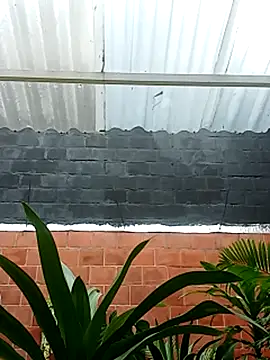 Snapshot of luchoarr chatting on 11/14/25, 12:59 luchoarr online show from 11/14/25, 12:59