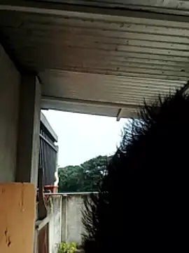 Snapshot of luchoarr chatting on 12/21/25, 01:07 luchoarr online show from 12/21/25, 01:07