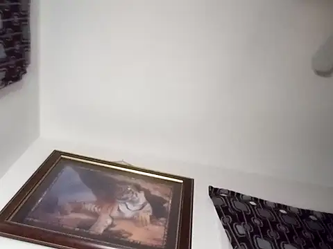 gemini12838 online show from 01/13/25, 02:39