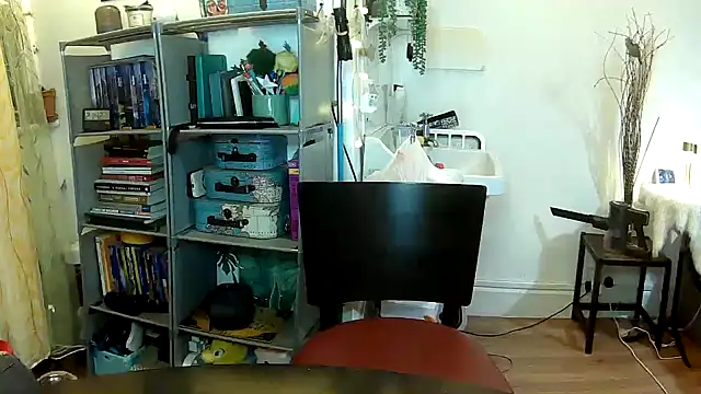 Snapshot of lextalon chatting on 01/13/25, 08:48 lextalon online show from 01/13/25, 08:48