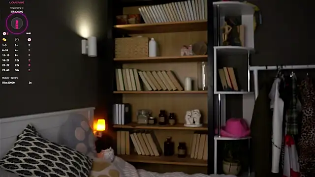 Snapshot of DarylBarks chatting on 10/06/25, 01:14 DarylBarks online show from 10/06/25, 01:14