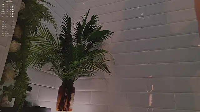 Snapshot of MichaellaMoon chatting on 12/03/25, 02:15 MichaellaMoon online show from 12/03/25, 02:15