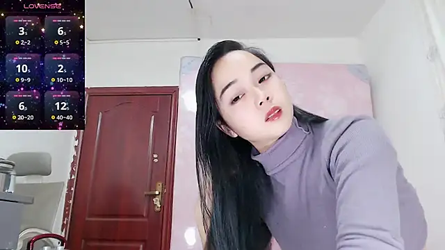 baoer-558 online show from 12/29/24, 11:18