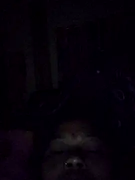 Bangarupapa online show from 02/26/26, 12:31