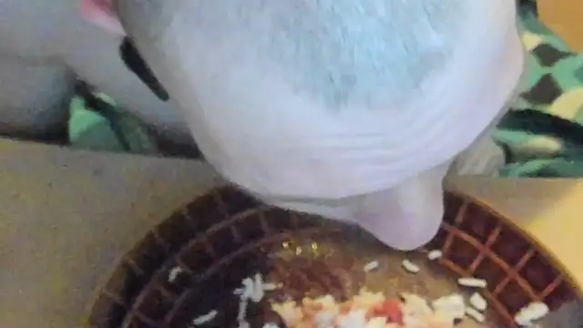 sexy264329 online show from 03/07/25, 04:22