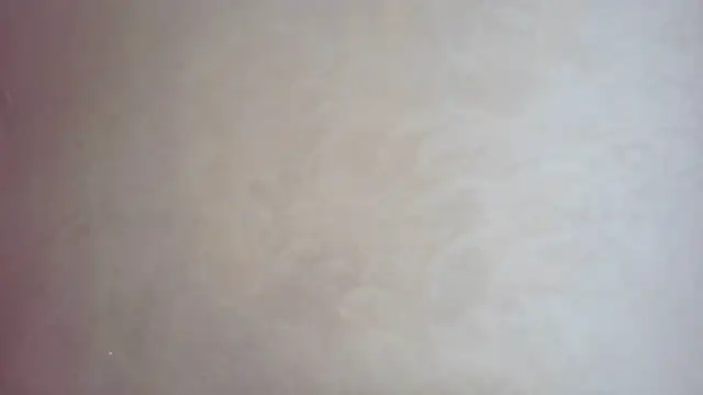 CaitlinaJayne23 online show from 09/19/25, 05:42