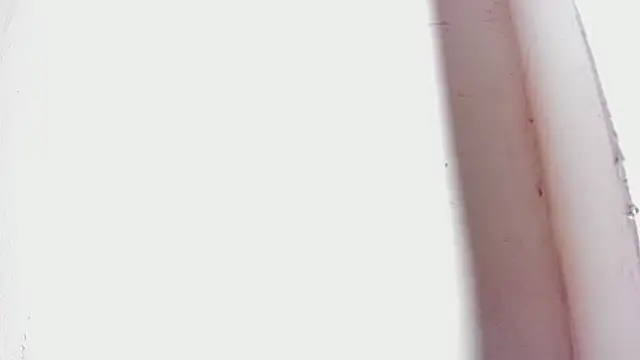 Snapshot of tifany_bigdick chatting on 02/27/25, 12:43 tifany bigdick online show from 02/27/25, 12:43