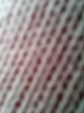 Snapshot of Gardener_of_Illusions chatting on 10/31/25, 10:27 Gardener of Illusions online show from 10/31/25, 10:27