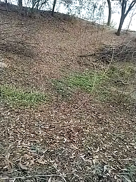 jellydicks online show from 02/28/26, 11:55