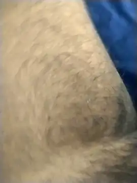 jellydicks online show from 03/04/26, 02:23