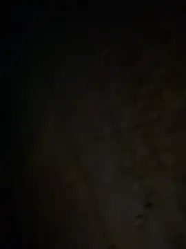 Snapshot of tripexnte chatting on 02/20/25, 06:39 tripexnte online show from 02/20/25, 06:39